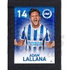 Lallana BHAFC Framed Headshot Poster A4 21/22