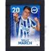 March BHAFC Framed Headshot Poster A3 21/22