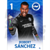 Sanchez BHAFC Headshot Poster A4 21/22