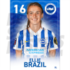 Brazil BHAFC Headshot Poster A3 21/22