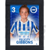 Gibbons BHAFC Framed Headshot Poster A3 21/22