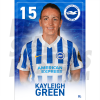 Green BHAFC Headshot Poster A3 21/22