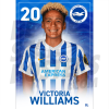 Williams BHAFC Headshot Poster A3 21/22