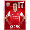 Cedric Arsenal FC Headshot Poster A4 21/22