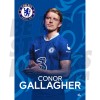 Gallagher Chelsea FC Headshot Poster A3 22/23