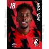 Lowe Bournemouth Headshot Poster A4 22/23