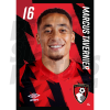Tavernier Bournemouth Headshot Poster A3 22/23