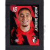 Tavernier Bournemouth Framed Headshot A4 22/23
