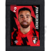 Fredericks Bournemouth Framed Headshot A3 22/23