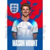 Mount England Home H/S Poster A4 22/23
