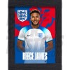 James England Home Framed H/S Poster A4 22/23