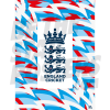 England Cricket Graphic 3 Poster