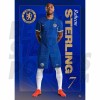 Chelsea FC Sterling 23/24 Headshot Poster