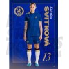 Chelsea FC Svitkova 23/24 Headshot Poster
