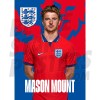 England Mount Away 22/24 Headshot Poster