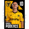 Wolverhampton Wanderers FC Podence 22/23 Poster