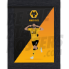 Wolverhampton Wanderers FC Neves Illustration
