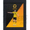 Wolverhampton Wanderers FC Coady Illustration