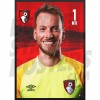 AFC Bournemouth Neto 23/24 Headshot Poster