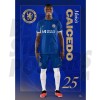 Chelsea FC Caicedo 23/24 Headshot Poster