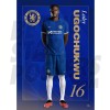 Chelsea FC Ugochukwu 23/24 Headshot Poster