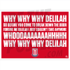 Stoke City FC Chant Poster