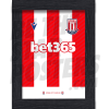 Stoke City FC 21/22 Home Shirt Print