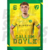 Norwich City FC Doyle 24/25 Headshot Poster