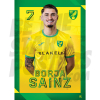Norwich City FC Sainz 24/25 Poster