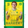 Norwich City FC Sargent 24/25 Poster