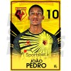 Joao Pedro Watford FC A3 Headshot 20/21
