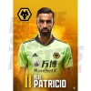 Rui Patricio Wolves FC A3 20/21