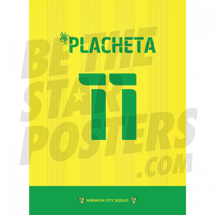 Placheta Norwich City Shirt Poster A4 20/21