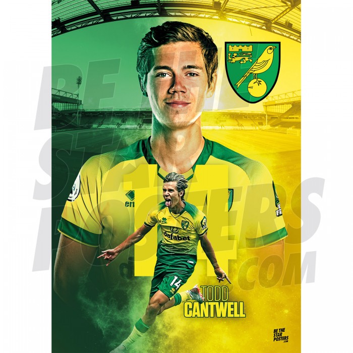 Cantwell Norwich FC A3 19/20 Action Poster