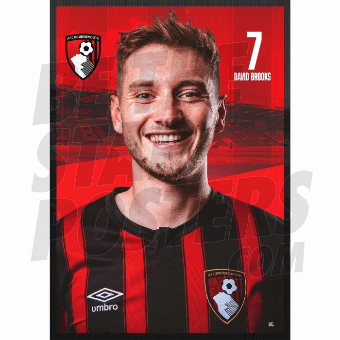 AFC Bournemouth Brooks 23/24 Headshot Poster