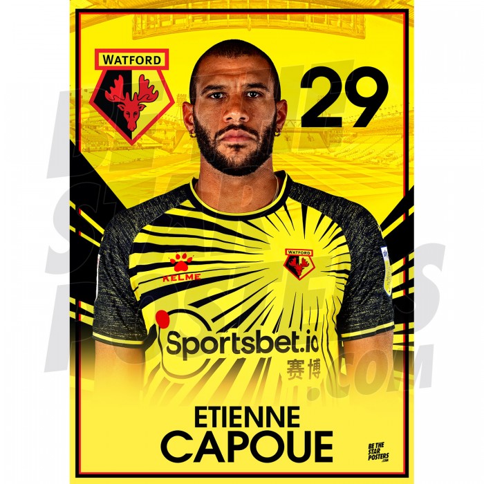 Etienne Capoue Watford FC A3 Headshot 20/21