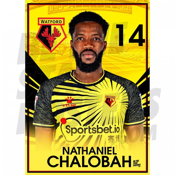 Nathaniel Chalobah Watford FC A3 Headshot 20/21
